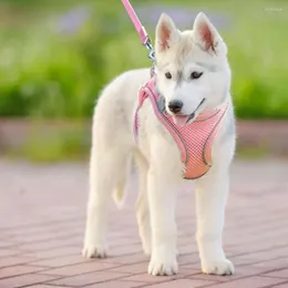 犬の襟反射ペットハーネスナイロンストラップトラクションロープ通気性調整可能なチワワ犬猫旅行用品