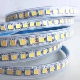 ストリップLEDストリップライトDC12/24V 120LED/M CCT RGBCCT 5025デュアルカラーWW CW温度調整可能CRI95防水IP67 IP65 5M