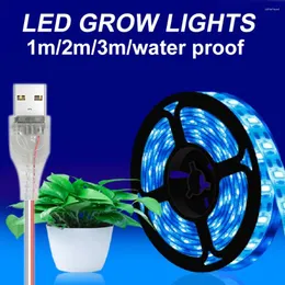 Wachstumslichter LED-Licht Vollspektrum Phytolampe USB-Pflanzenstreifen 1m 2m 3m für Pflanzen Blumengewächshauszelt Hydrokultur