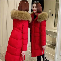 Casacos de trincheira feminina Dugujunyi 2022winter Women Women Big Fur Belt Hooded grossa em Parkas X Long Casal feminino Slim Warm Winter Outwear