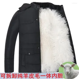 Masculino masculino parkas de inverno masculino de meia idade e jaqueta de algodão de algodão idosa integrada para o casaco de pele de pele de carneiro