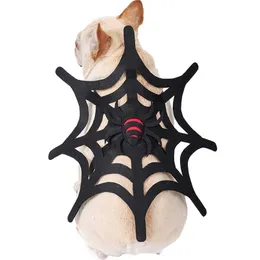 Cat Costumes Spider Web Pet Clothes Funny Halloween Christmas Dog Events Orvice 220920