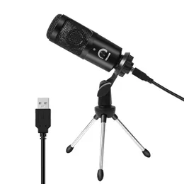 192khz/24bit 2021 Studio Bilgisayar Mikrofonu USB Fiş Oynat Condanser Mic Boom Kol Ses Kontrolü Akış Oyun Dizüstü Bilgisayar