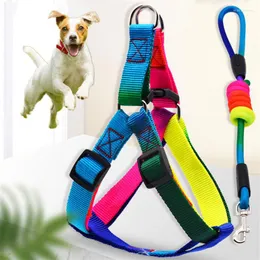 Collari per cani Corda colorata per guinzaglio per cani di piccola taglia Pet Puppy Pitbull Harness Collar Cat Lead Product