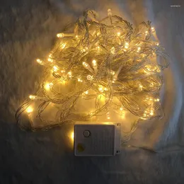 Stringhe LED String Light 10M 100LED Lucine 8 modalità 110V/220V Per la decorazione della festa nuziale del giardino Ghirlanda Vacanze di Natale