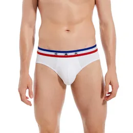 Herren-Bademode, neue Herren-Unterwäsche, Baumwolle, U-förmige Doppelschicht-Beutel, bequeme Slips, sexy niedrige Taille, einfarbige Slips, Hip-Lift, atmungsaktiv, J220913