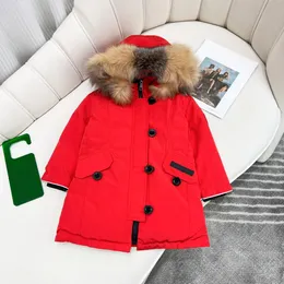 Kids Coats Baby Designer Clothes Down Coat Jacket Kid clothe With Badge Hooded Fasion Thick Warm Outwear Girl Boy Girls Classic Parkas 100% Wolf Fur Collar 6 Style