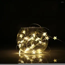 Cuerdas 2/3M LED Alambre de cobre Estrella Cortina Luces de cadena Lámpara Iluminación de hadas para boda al aire libre Decoración navideña Funciona con batería