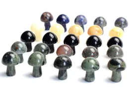 5 Stücke kleiner Größe 20 x 15 mm Pilz Figur basteln natürlicher Chakra Stein geschnitzt Kristall Reiki Heilungsstatue