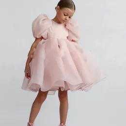 Yeni Beyaz Organaz Pageant Gowns Resmi Çiçek Kız Elbiseler Pembe Puflu Kollar için Küçük Prenses İçin Küçük Prenses Çocuklar Çocuk Doğum Günü Düğün Partisi
