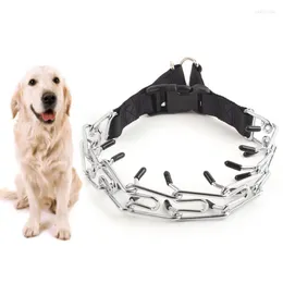 Trasportini per gatti Collare per cani Due stili Collana con lucchetto in ferro metallico Rimovibile Stimolare l'addestramento Animali domestici Catena Accessori per animali domestici