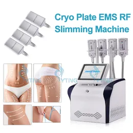 Cryo plaatmachine ems body sculpting cryoskin slanke koele vorm gewichtsverlies systeem met 4 pads