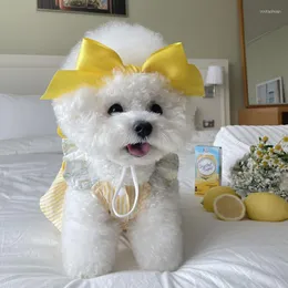 Hundebekleidung Ins Baumwolle Sommer Urlaub Stil Kleidung Fliege Kurze Haustier Weste Rock Welpe Bichon Yorkshire Prinzessin Zubehör