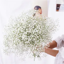 Декоративные цветы Flor seca Natural Real Preservada Eternal Gypsophila Flower Wedding Party Букет домашний декор няня цветочные ноки