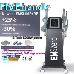DLS-EMSZERO NEO Emszero RF Nova Beauty Items 13 Tesla 5000W HI-EMT Machine 4 RF Handle Pelvic Stimulation Pad Optional