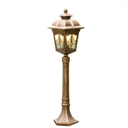 European High Pole Outdoor Lawn Lamp Garden With Globe Glass Shade Waterproof Pathway Drive Lighting