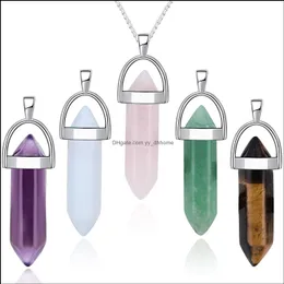 Hänge halsband hängar smycken hexagonal prism halsband natursten opal turkoises kvartsläkning re dh4bt