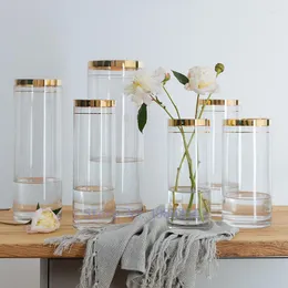 Nordic Kreative Glas Vase Gold Hochzeit Dekoration Golden Rim Hause Wohnzimmer Hydrokultur Blume Anordnung Zubehör1
