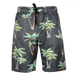 Tree kokosowy M 3xl 6xl Szybkie suche szorty na plażę plus rozmiar Sakswear Men Swimming Swimsuit Zwembroek Heren Sunga 084