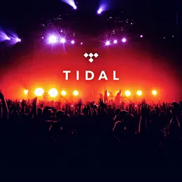 Theater Tidal HiFi Private 100% weltweit garantiert keine Anzeigen Offline -Hör -Musikplayer arbeiten auf dem HDD -Player Android PC Mac iOS -Lautsprecher alle Plattform schnelle Lieferung