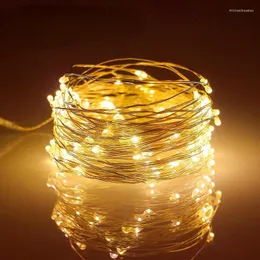 Strings LED LED CIPE DRUTE Ciąg 1/2/5/10m wakacyjny lampka na zewnątrz girland lampa na dekorację przyjęcia weselnego choinki