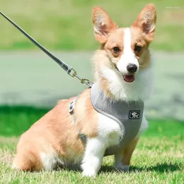 Hundehalsbänder, verstellbares Nylongeschirr und Leine-Set, reflektierend, atmungsaktiv, Haustiergeschirre für kleine, mittelgroße Hunde, Welpenzubehör