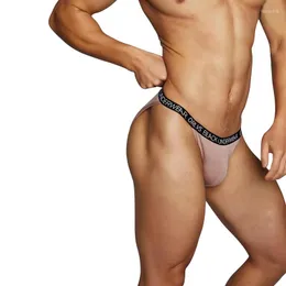 Underbyxor sexiga män trosor 3st/mycket gay manlig modal underkläder calzoncillos hombre komfort herrar underware close fit man slip