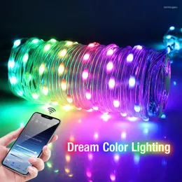 ストリングUSB 5V Bluetooth Dream Color LED文字列IP65パーティーライトリヒターケット装飾ホリデー照明庭園