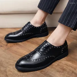 Piergitar hotsell shoes amazon