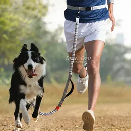 Hands Free Dog Leashes for Running Walking Training Hiking Dual-Handle Reflective Bungee Foam Handle PS03