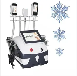 6 in 1 Slimming Cryotherapy Lipolysis Rf For Face Fat Freeze Body Sculpt Machine Professional New Design 40 K Cavitation Rf Fat Reduce Equipment