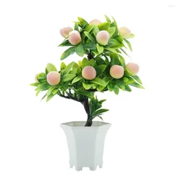 زهور الزهور ديكور حديقة المنزل ديكور النباتات الاصطناعية النموذج البلاستيكي الفواكه محفوظة