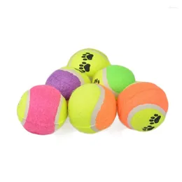 Depolama Şişeleri WonderLife Pet Tenis Oyuncakları Eğitim Yavru Peluş Toyspet Oyuncak Balldog Trainerpet Ayak İzi Top Toydog Mağarları Aksesuarları