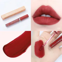 Lip Gloss Waterdichte naakt Mat Velvet Glossy Lipstick Sexy Red Tint 12Colors Women Fashion Makeup Christmas Gifts