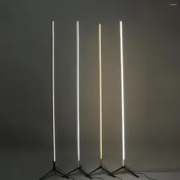 Zemin lambaları Modern minimalist lamba led tripod ışıkları İskandinav oturma odası yatak odası başucu ayakta duran kapalı dekor armatürleri