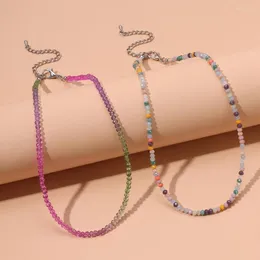 Ketten Großhandel Mode Frauen Schmuck bunte Perlenkette handgemachte Perlenketten Boho Samen Halsband bunt