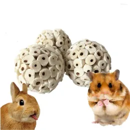 Other Bird Supplies 6 Pieces Natural Sola Balls For Parrots Chinchillas Hamster Guinea Pig Soft Chew Foraging Toy Small Pet