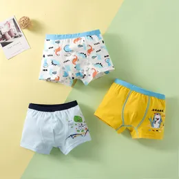 Panties Kids Boy Cotton Underwear 4 Season Cartoon Boxer Teen Big Girl Comfortable Soft Toddler Shorts Kid Growth 3 Pieces 221205