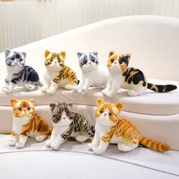 Kawaii fyllda livliga katter Plush Toy Simulation American Shorthair S￶ta kattdocka Pet Toys Home Decor Gift for Girls Birthday