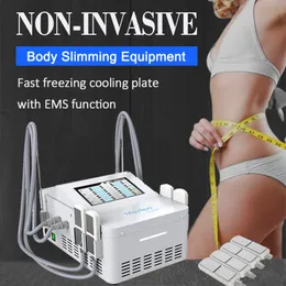 EMS Slimming Machine Cryolipolysis Cryo Cool Fat Dissolve Weight Loss Build Muscle Cellulite Removal Device