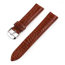 Titta på band Crocodile Mönster Läder Watchband Calfskin Strap Smart Replacement Accessories 12mm 14mm 16mm 18mm 20mm 22mm 24mm