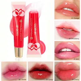 Brillo de labios Espejo de vidrio Aceite transparente Nutritivo Cuidado hidratante de larga duración Mint Plumper Fruity Lipgloss Makeup