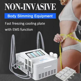 نظام العلاج بالتبريد cryo ems body contouring محترق آلة الدهون التحفيز العضلات الكهربائية تحسين عملية التمثيل الغذائي