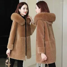 Pelliccia da donna Inverno Faux Coat Donna Lana di agnello Cappotto con cappuccio allentato coreano Peluche Tosatura delle pecore Capispalla calda spessa elegante