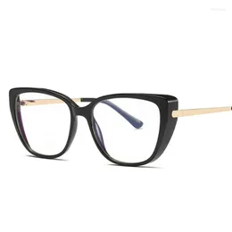 Sunglasses Frames Plastic Titanium Anti Blue Light Men Women Optical Glasses Tr90 Fashion Computer Eyeglasses 50407