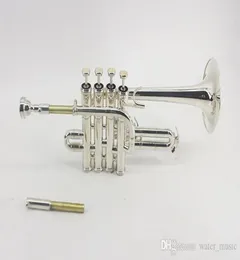 Nuovo professionale Silver Piccolo Trumpet 4 Piston Horn BBA 2 Beadpipe Mouthpiece8482802