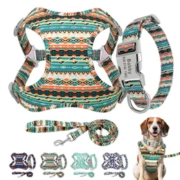 Dog Collars Leashes 3pcs/lot Customized Dog Collar Leash Harness Set Personalized Dog ID Collars Soft Padded Pet Vest With Lead For Small Large Dogs T221212