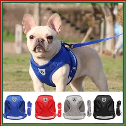 Hundhalsar Leasshes Pet Cat Dog Harness and Leash Set Small Medium Dogs Bröstsele för Chihuahua French Bulldog Pug Pug Puppy Harnes Vest Accessories T221212
