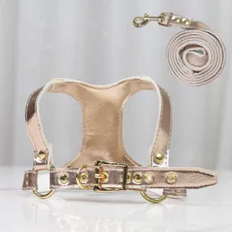 Hundehalsbänder und Leinen, helles PU-Leder-Hundegeschirr und Leine-Set, luxuriöses Designer-Hundezubehör für kleine Hunde, Welpenhalsband, Chihuahua-Geschirr, Weste, T221212