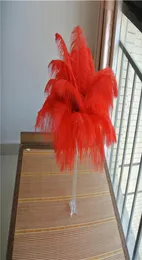 100 pcs 1416inch3540cm red Ostrich Feather plume for wedding centerpiece decor event supplies feather decor2102708